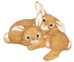 8cuddling-bunnies